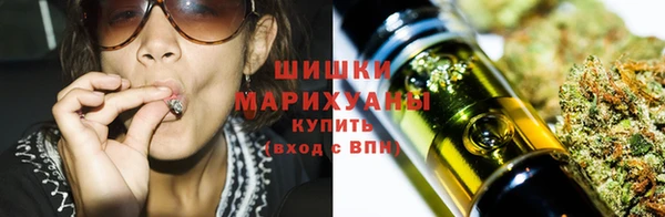 трава Абаза