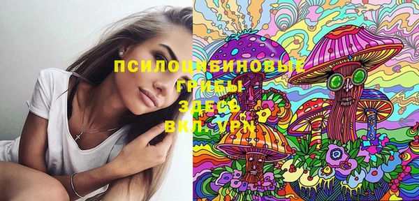 дмт Абинск