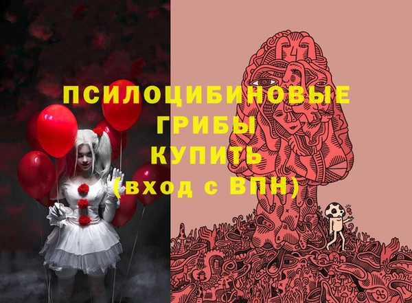 трава Абаза